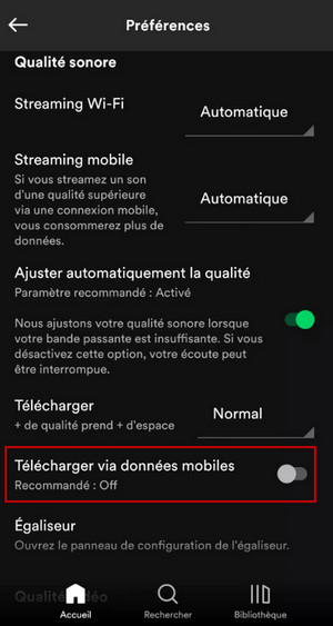 Téléchargez sur Spotify avec des données mobiles