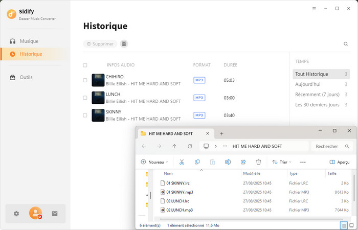 Vérifiez l'historique des conversions